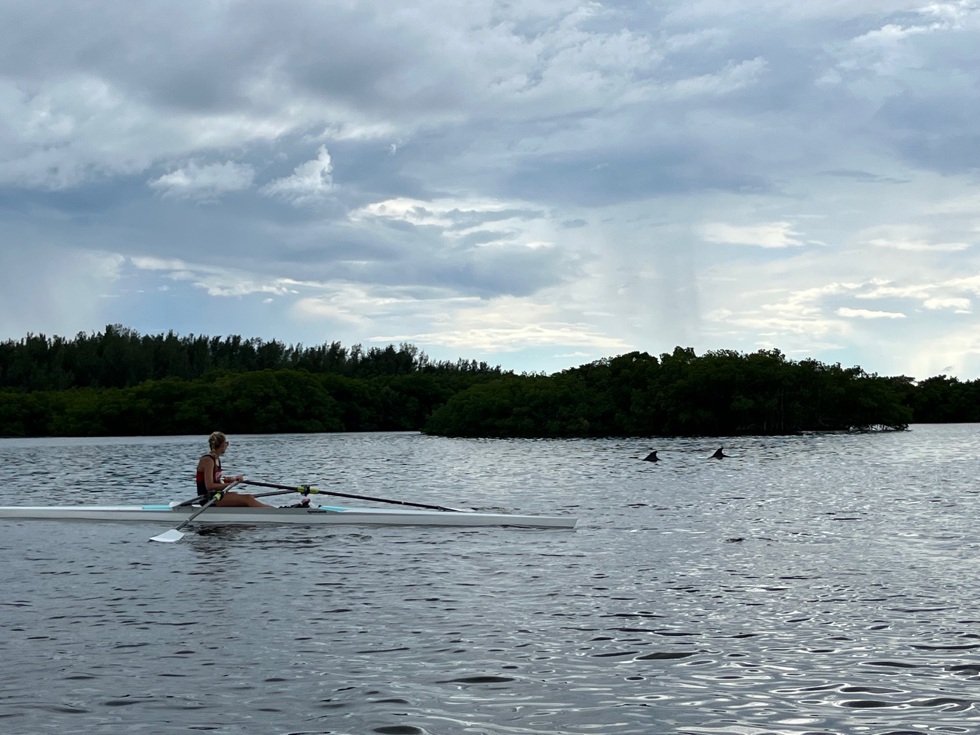 rowingwithdolphins